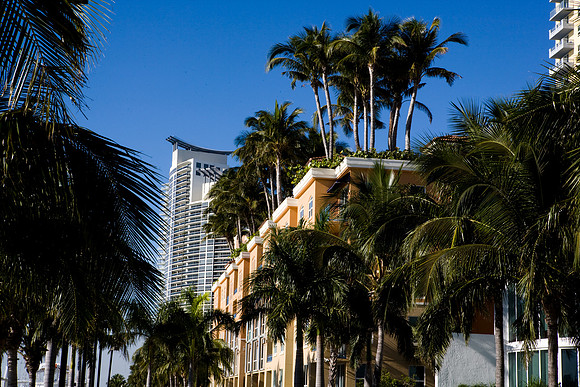 36136_DG_Color_USA_Miami_Beach_FL_Related_GroupZV4N0472