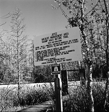 7587_fm_bw_xpand_MANDACINO_CA_01_3.jpg