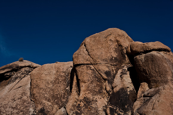 06646_DG_COLOR_JOSHUA_TREE_NAT_PARK_29_PALMS_CALIFORNIA_CA_USA_2007_ZV4N_442