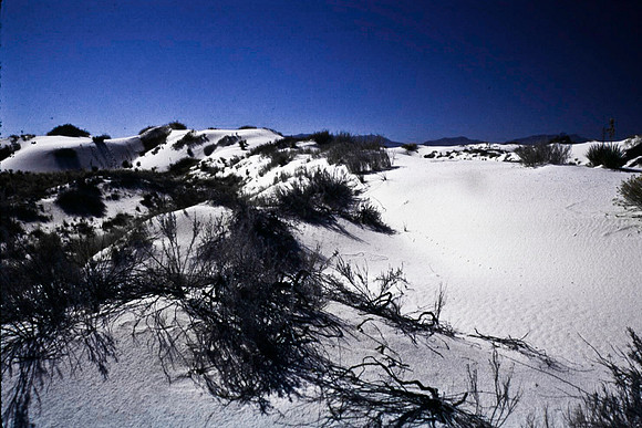 47896_B16_SL_COLOR_LA_MESILLA0_TO_WHITE_SOUNDS_NAT_MNY_HWY20_NM_97_0303.jpg