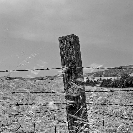 2385_B4P2_7_BW_SQ_Napa_Valley_CA_02_4.jpg