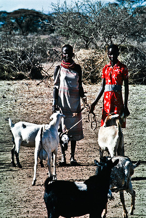 55442_SL_COLOR_TRIBE_LAKE_BARINGO_KENYA_AFRICA_1989_4