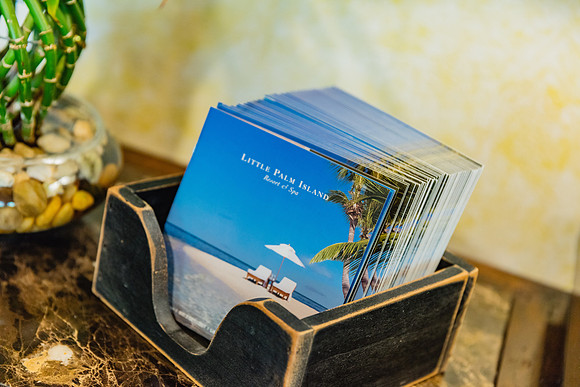 20160714_Key_West_Little_Palm_075A0662