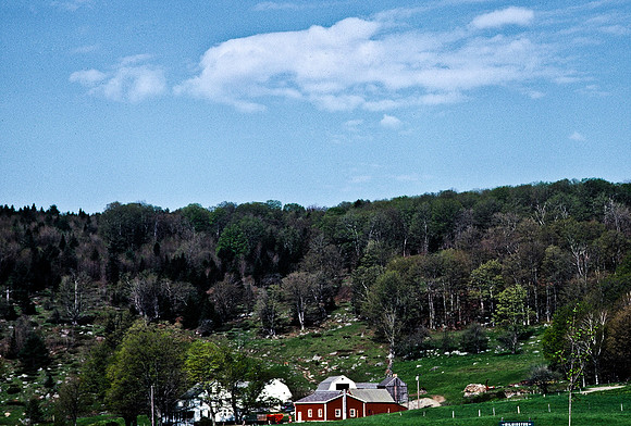 64039_B1_SL_COLOR_UP STATE_NY_86_04.jpg