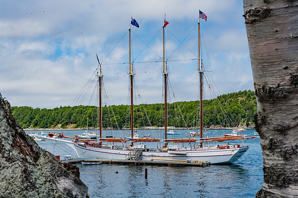 20060628_Maine_ZV4N1082