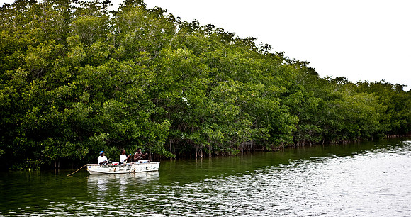 2528_20090309_Everglades_Natasha_DA_Miami_FL_5L8Y2439