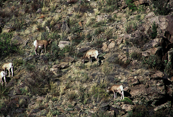 47438_B5_SL_COLOR_SALIDA_5_POINT_SPEEDING_COLORADO_WY_97_12.jpg