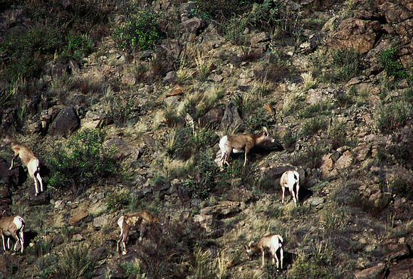 47438_B5_SL_COLOR_SALIDA_5_POINT_SPEEDING_COLORADO_WY_97_13.jpg