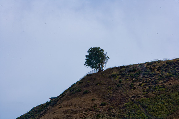 URBAN LANDSCAPE