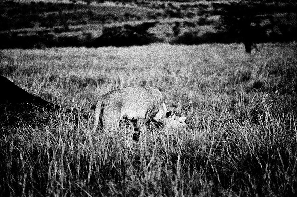 B3_82002_BW_194_New_Masai-Ballon_Africa_89_20