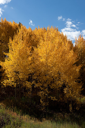 20080829_DVD15_DG_USA_Aspen_2075_full_blead