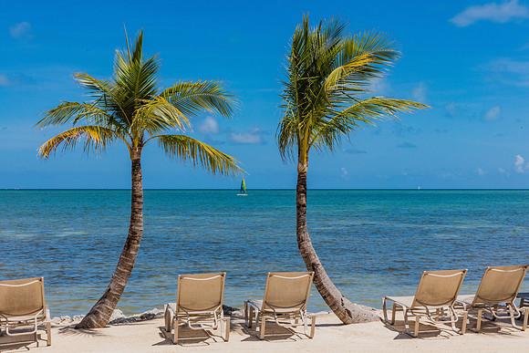 20160711_Key_West_75A0163