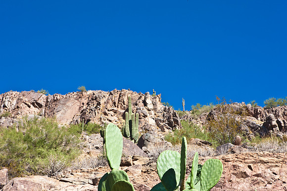 0031_La_Arizona_5L8Y5206