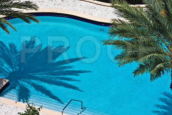 3800_DG_Fisher_Iskand_Pool_Rafi_Miami_FL_5L8Y5231