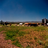 2407_FM_COLOR_ID_02_11.jpg