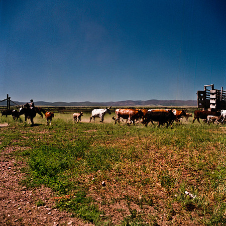 2407_FM_COLOR_ID_02_11.jpg