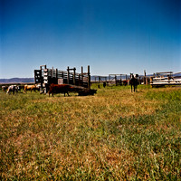 2406_FM_COLOR_ID_02_7.jpg