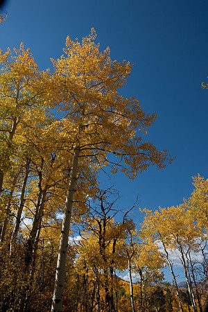 20080829_DVD15_DG_USA_Aspen_2128_full_blead