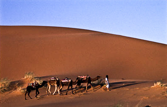 3208_SL_COLOR_MERZOUGA_SHAHARA_MAROCCO_II_1998_16