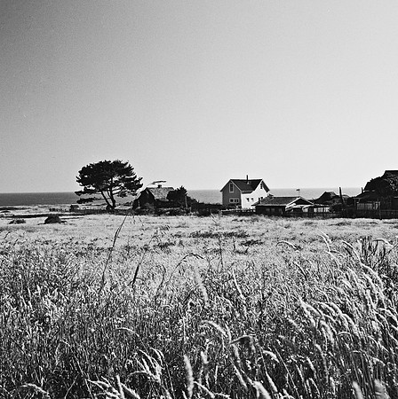 2379_FM_BW_SQ_MENDOCINO_CA_02_2.jpg