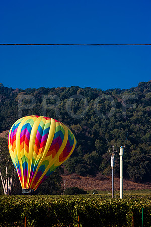 20080904_DVD25_DG_USA_Los_Olivos_CA_20080904_DVD25_DG_USA_Napa_CA_4703_full_blead