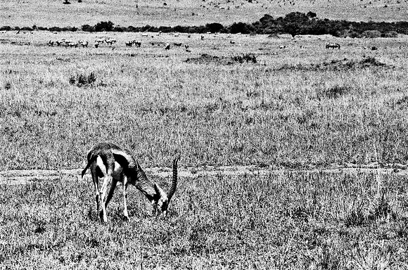 B3_82002_BW_194_New_Masai-Ballon_Africa_89_17