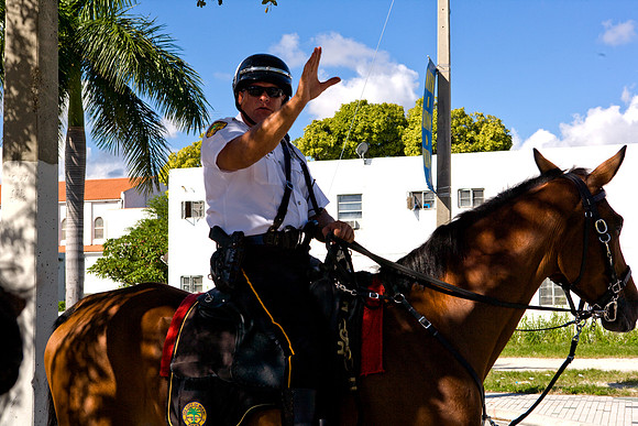 84782_ZV4N8183_FL_Miami_USA