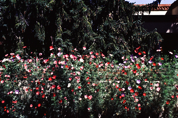47774_B13_SL_COLOR_SANTA_FE_NEW MEXICO_97_8.jpg