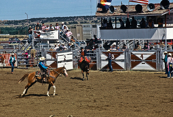 47494_B6_SL_COLOR_TRINIDAD_RODEO_CO_97_18.jpg
