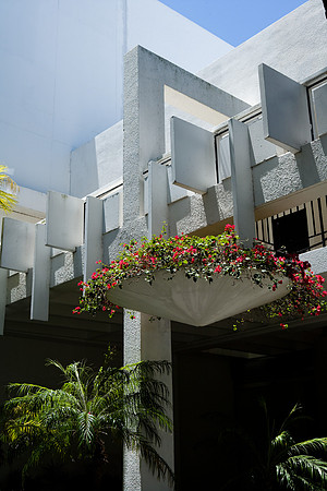 36181_DG_Color_USA_Bal_Harbour_FL_Related_Group_Bal_Harbour_ShopsZV4N9461-42