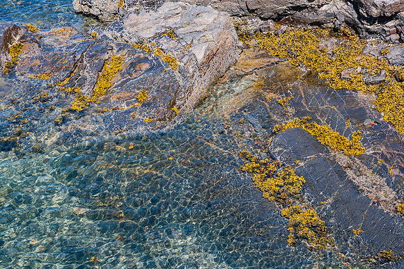 20060628_Maine_ZV4N1103