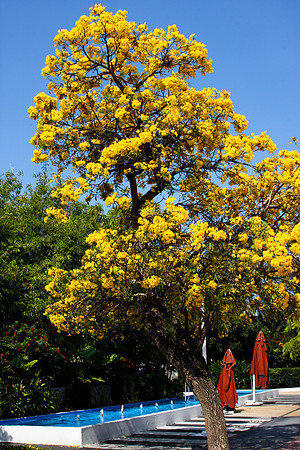 84757_20080505-IMG_1558_Lincoln_Road