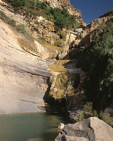 4000_20080719_ADS_Mexican_Landscape_Mexico_141