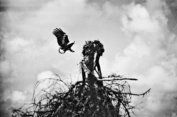 B3_82005_BW_194_New_Masa_Mara_Africa_89_29