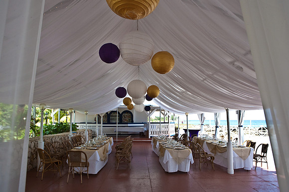3876_DG_Cayman_Island_Caribbean_ZV4N0407