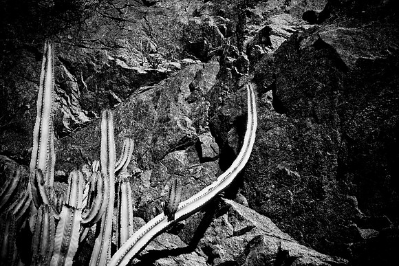 0031_La_Arizona_5L8Y5483