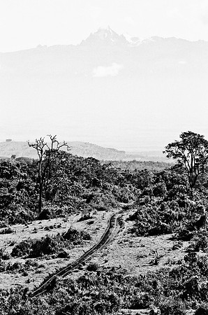 B3_82008_BW_194_New_Amboseli_Africa_89_17