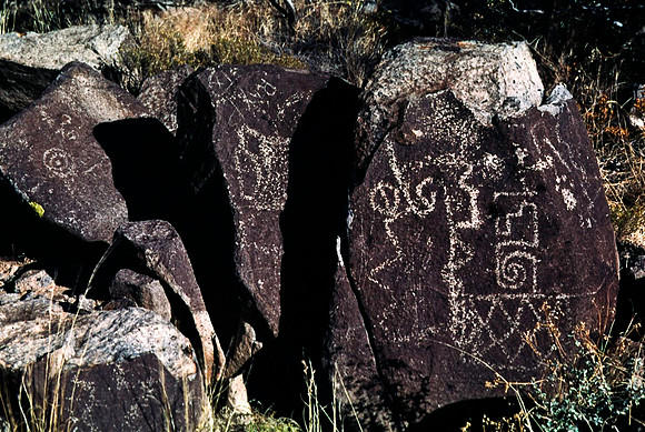 47899_B16_SL_COLOR_TREE_RIVER_PETROGLYTH_NAT_RES_NAT_MNT_HWY LOOP20_NM_97_1414.jpg