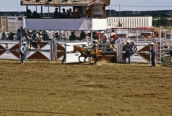 47492_B6_SL_COLOR_TRINIDAD_RODEO_CO_97_04.jpg