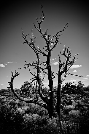 0020_Wyonming_To_Ketchem_Sun_Valley_ID_5L8Y7805
