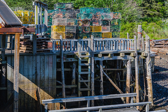 20060628_Maine_ZV4N1188