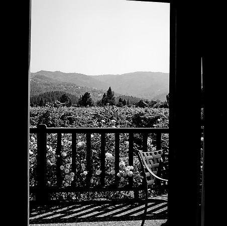 2385_B4P2_12_BW_SQ_Napa_Valley_CA_02_1.jpg