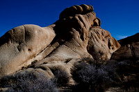 06646_DG_COLOR_JOSHUA_TREE_NAT_PARK_29_PALMS_CALIFORNIA_CA_USA_2007_ZV4N_497