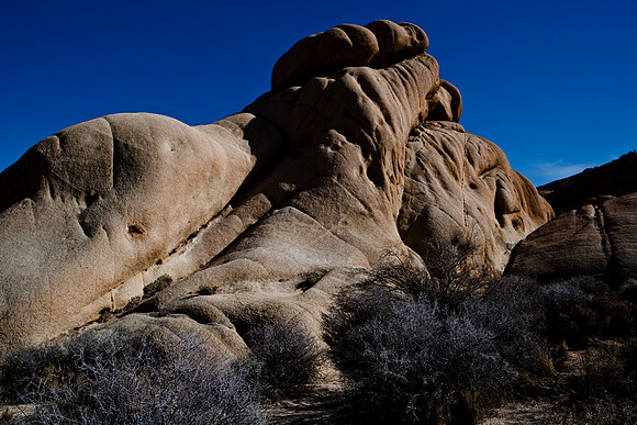 06646_DG_COLOR_JOSHUA_TREE_NAT_PARK_29_PALMS_CALIFORNIA_CA_USA_2007_ZV4N_497