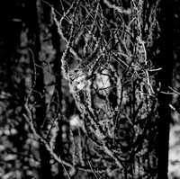 7571_FM_BW_CA_01_1.jpg