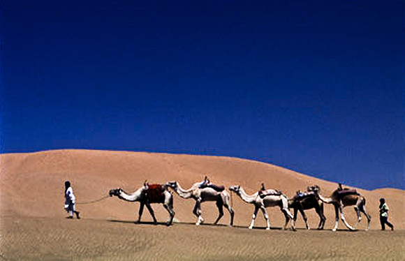 3192_SL_COLOR_TAMGROUTE_DUNES_MAROCCO_II_1998_8