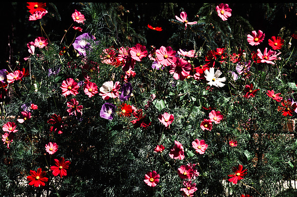 47774_B13_SL_COLOR_SANTA_FE_NEW MEXICO_97_9.jpg