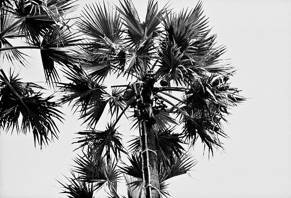0783_FM_35MM_BW_BURMA_4