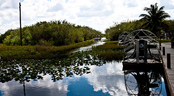 2527_EVERGLADES_MIAMI_FLORIDA_AOM_20090315__A0M1237