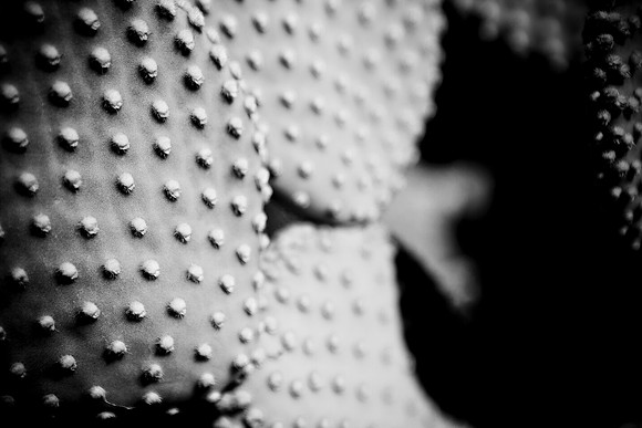 0031_La_Arizona_5L8Y5264
